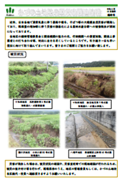 令和6年10月　臨時号